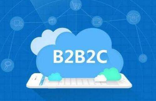 全面了解b2b2c商城系统的具体优点情况 - 领客科技